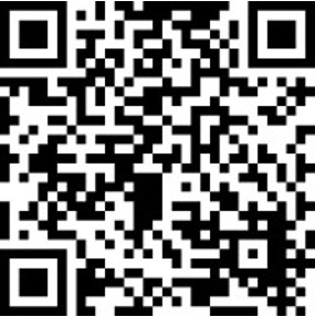 Protection of abused women (PayPal)