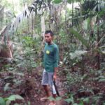 A hit – egy kicsit brazilosan…