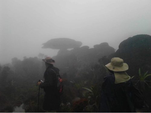 A hit – egy kicsit brazilosan…