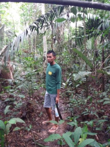 A hit – egy kicsit brazilosan…